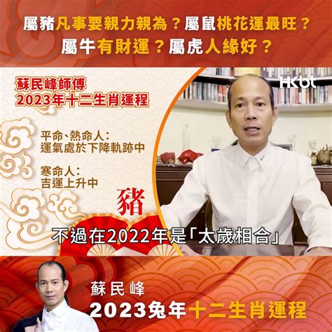 2023 財位 蘇民峰|蘇民峰 2023兔年流年風水佈局 • 旺人緣化是非 • 催財 •。